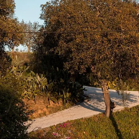 Country house Vale De Ferreiros Abrantes