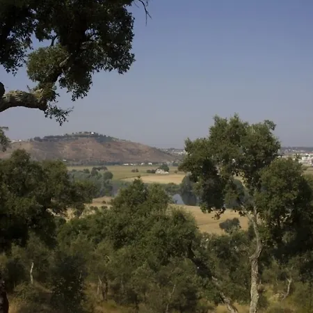 Vale De Ferreiros 乡村民宿 *