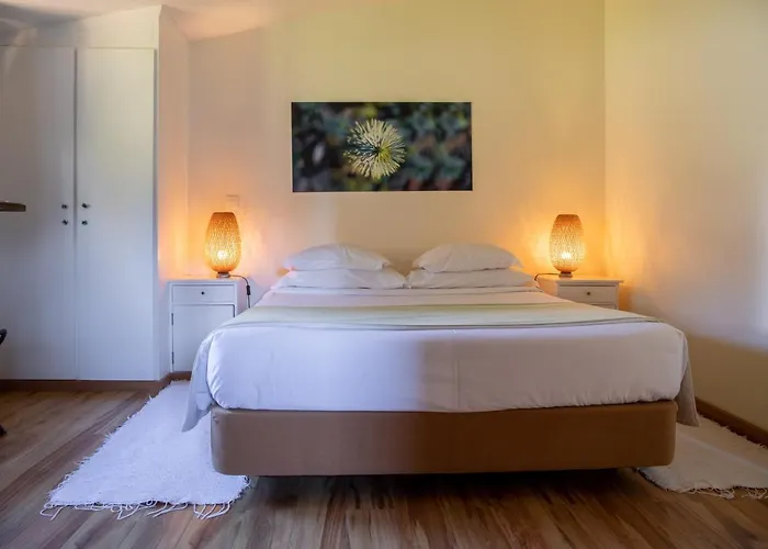 Gospodarstwo wiejskie Vale De Ferreiros