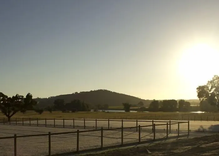 Vale De Ferreiros Gospodarstwo wiejskie Abrantes