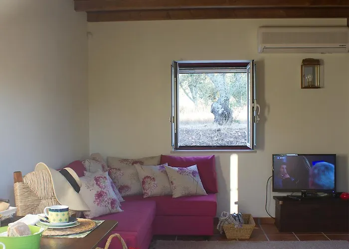 Gospodarstwo wiejskie Vale De Ferreiros Abrantes