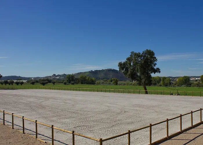 Gospodarstwo wiejskie Vale De Ferreiros Abrantes