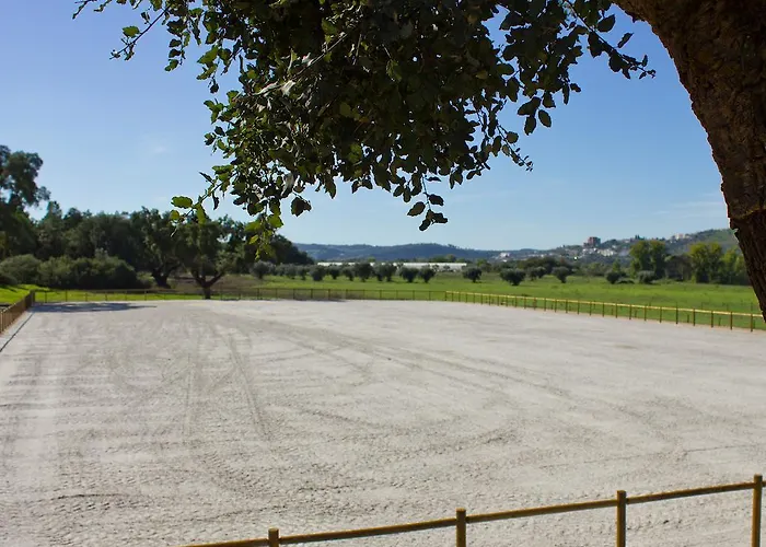 Gospodarstwo wiejskie Vale De Ferreiros